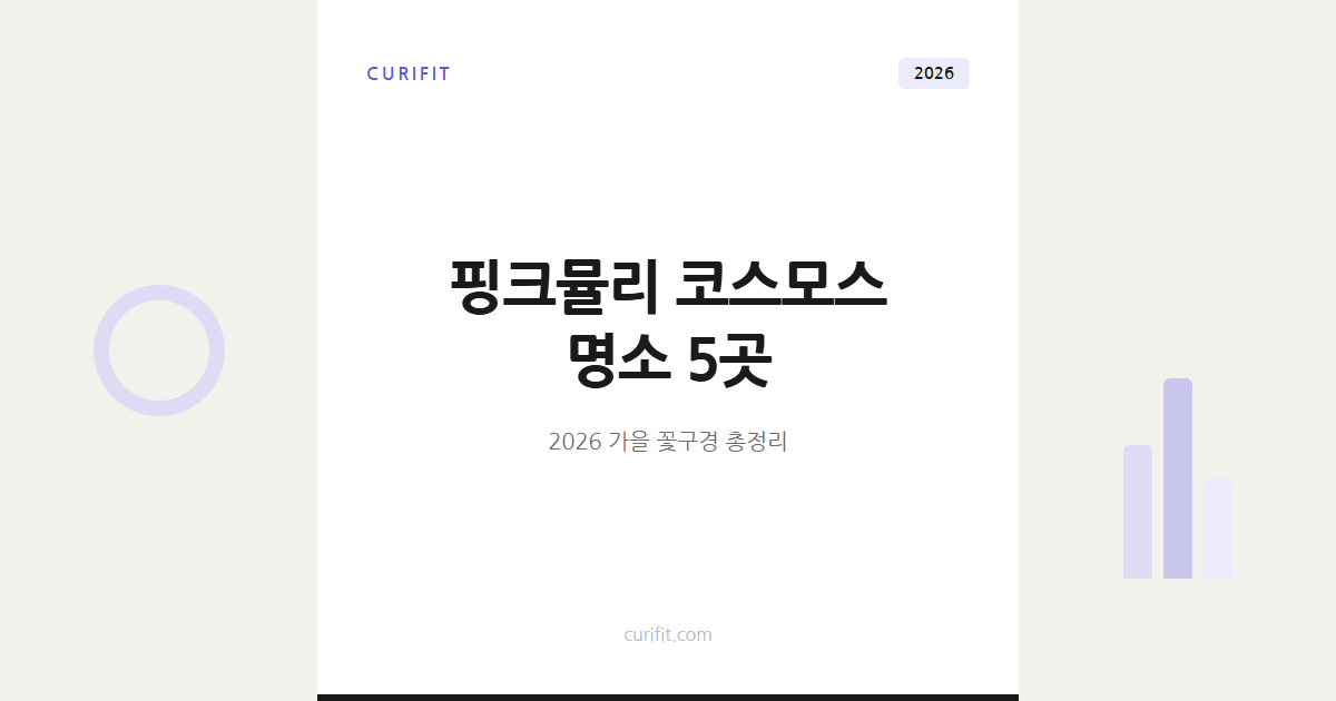핑크뮬리 코스모스 명소 5곳, 2026 가을 꽃구경 총정리