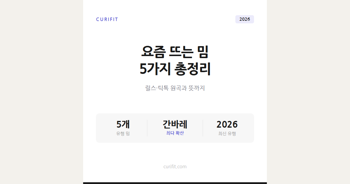 릴스·틱톡 유행 밈 5가지, 원곡과 뜻 2026년 총정리